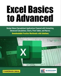 Excel Basics to Advanced