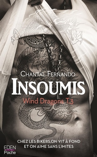 Insoumis. Wind Dragons T.3
