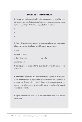 Pleine conscience pour gens pressés. Du stress à la sérénité en quelques minutes