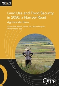 Chantal Le Mouël et Marie de Lattre-Gasquet - Land Use and Food Security in 2050: a Narrow Road - Agrimonde-Terra.