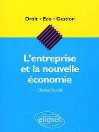 L'Entreprise Et La Nouvelle Economie