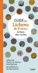 Chantal Van Haluwyn et Juliette Asta - Guide des lichens de France - Lichens des roches.