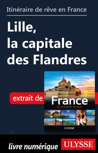 Itinéraire de rêve en France - Lille, la capitale des Flandres