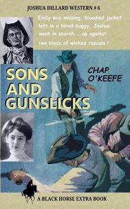 Sons and Gunslicks