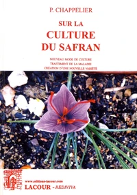 Sur la culture du safran