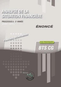 Analyse de la situation financière BTS CG processus 6, 2e année