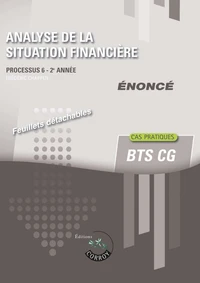 Analyse de la situation financière, Enoncé