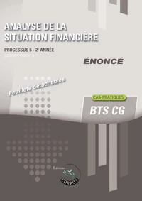 Analyse de la situation financière Processus 6 du BTS CG
