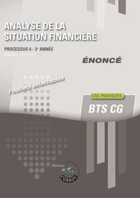 Analyse de la situation financière Processus 6 du BTS CG