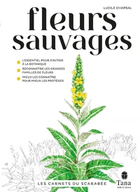Fleus sauvages