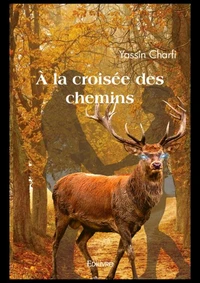 A la croisée des chemins