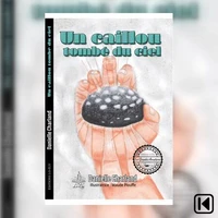 Un caillou tombé du ciel