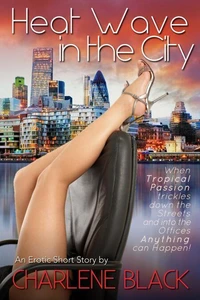 Heat Wave in the City