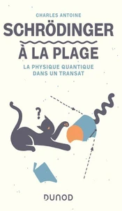Schrödinger à la plage