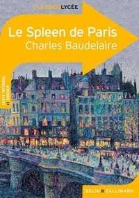 Ebook deutsch télécharger Le Spleen de Paris in French 9782701161525