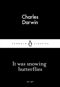It was Snowing Butterflies