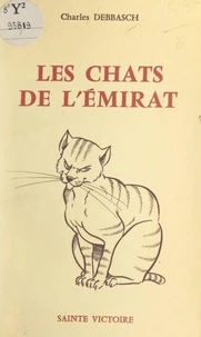 Les chats de l'émirat