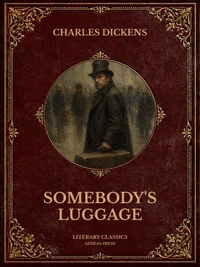 Somebody's Luggage