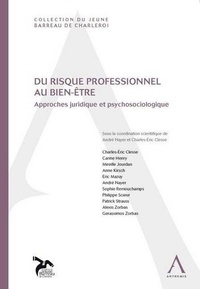 Charles-Eric Clesse et André Nayer - Du risque professionnel au bien-être - Approches juridique et psychosociologique.