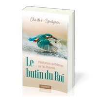 Le butin du roi