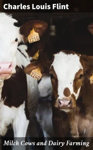 Milch Cows and Dairy Farming