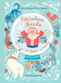 Operation Santa