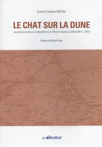 Le chat sur la dune
