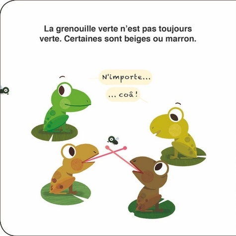 La grenouille verte