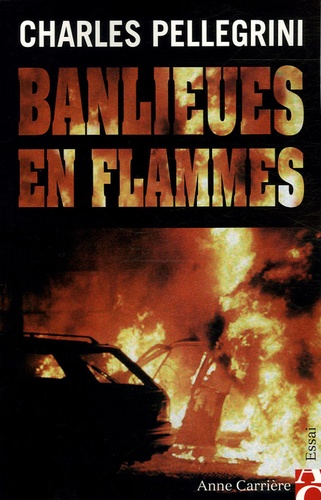 Charles Pellegrini - Banlieues en flammes.