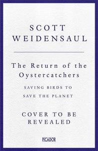 Return of the Oystercatchers, The