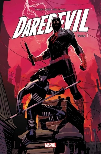 Daredevil Tome 1 Un témoin gênant