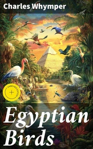 Egyptian Birds