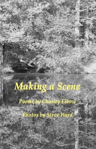 Charley Elbow et  Stephen Ward - Making a Scene.