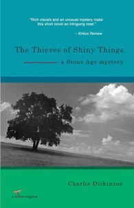 The Thieves of Shiny Things