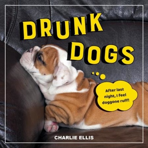 Drunk Dogs. Hilarious Pics of Plastered Pups