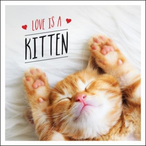 Love is a Kitten. A Cat-Tastic Celebration of the World's Cutest Kittens