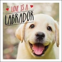 Charlie Ellis - Love is a Labrador - A Lab-Tastic Celebration of the World's Favourite Dog.