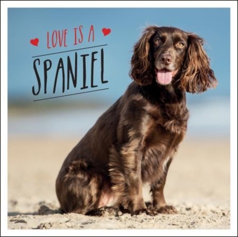 Love is a Spaniel. A Dog-Tastic Celebration of the World’s Most Lovable Breed