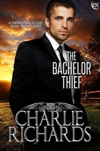 The Bachelor Thief