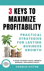 3 Keys to Maximize Profitability - Practical Strategies for Lasting Business Growth