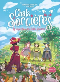 La disparition des Chats-Sorciers