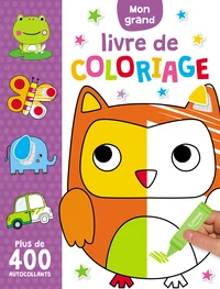 Mon grand livre de coloriage