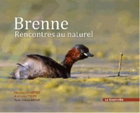 Brenne