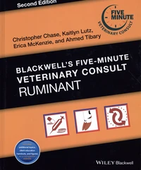 Ruminant
