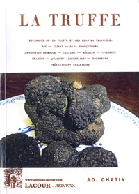 La truffe