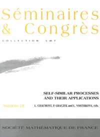 Self-similar processes and their applications