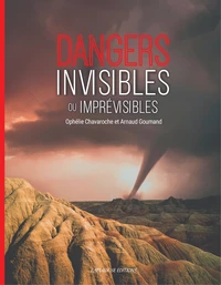Tour du monde des dangers invisibles ou imprévisibles