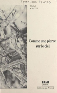 Comme une pierre sur le ciel : esquisses pour une vie