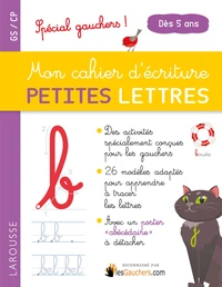 Mon cahier d'écriture petites lettres GS/CP