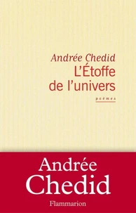 L'Etoffe de l'univers